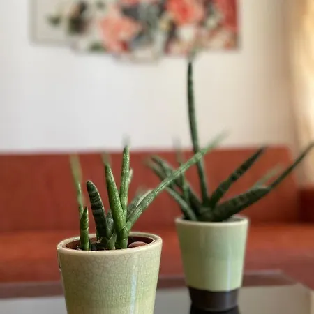 Aloe, Cozy Apt Garden View, 5' Away *